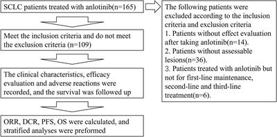 Efficacy and Safety of Anlotinib in the Treatment of Small Cell Lung Cancer: A Real-World Observation Study